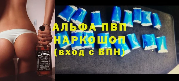 стаф Аркадак