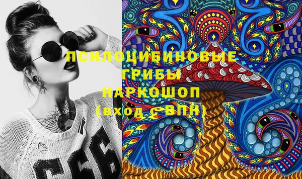 молекула духа Алексин