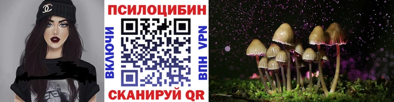 Купить где  Сухой Лог  Псилоцибиновые грибы прущие грибы 